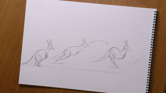 041. Dessiner un kangourou